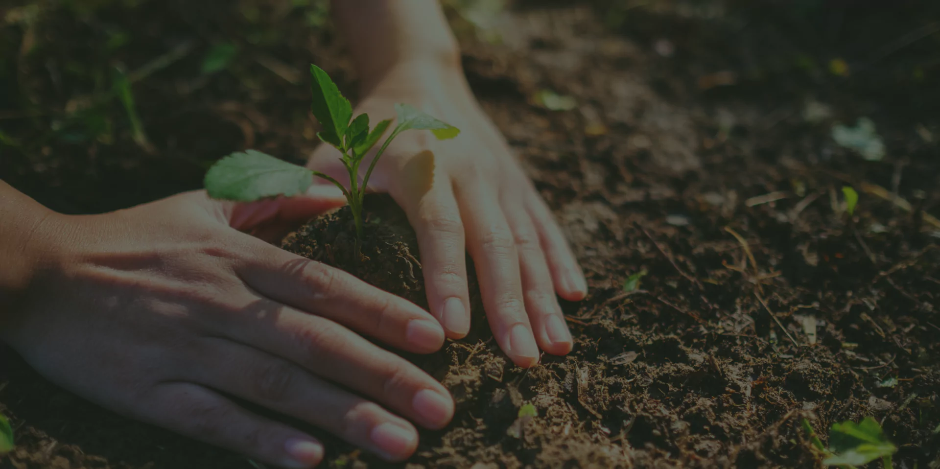 Society for Agriculture & Applied Sciences