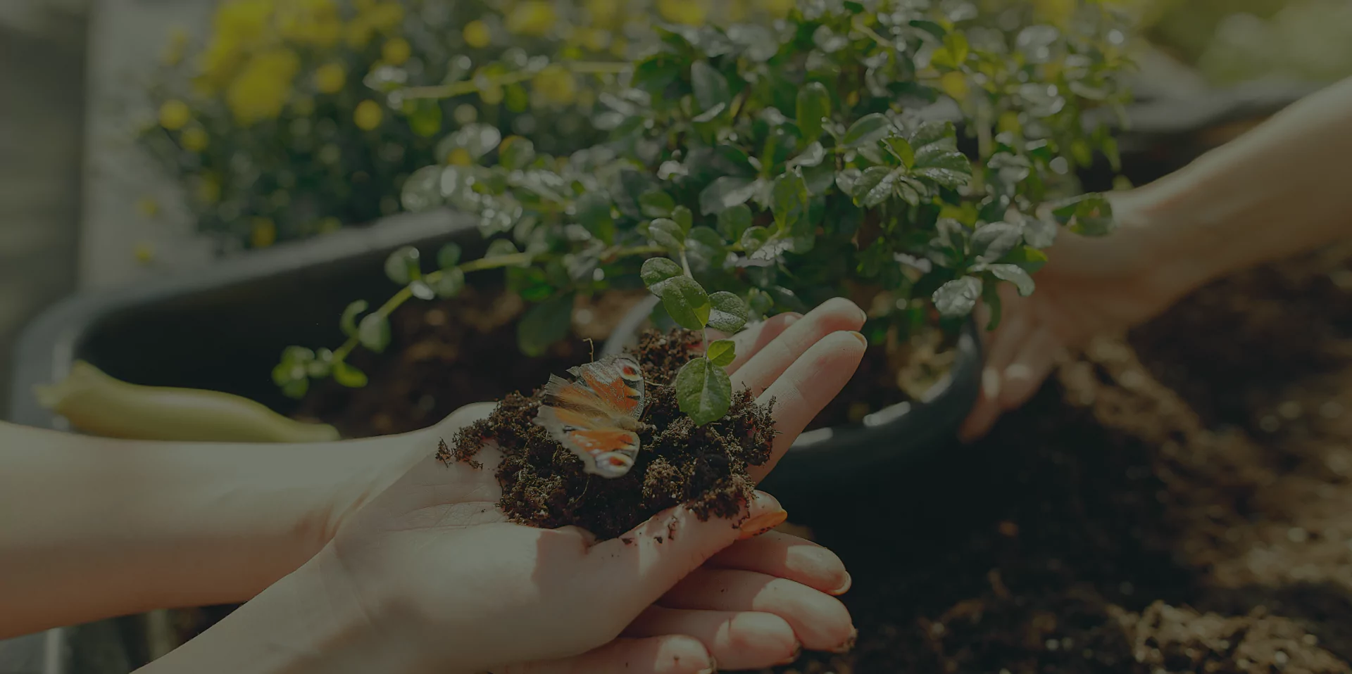 Rights & Obligations of Members